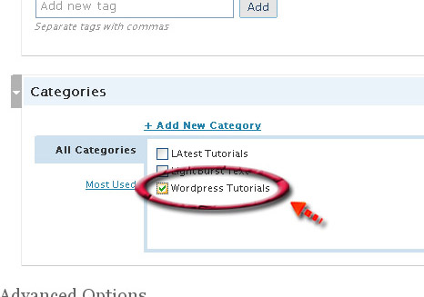 Publishing Post Wordpress